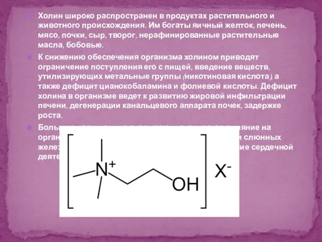 Холин широко распространен в продуктах растительного и животного происхождения. Им богаты яичный