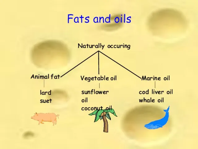 Fats and oils Naturally occuring Animal fat Vegetable oil Marine oil lard