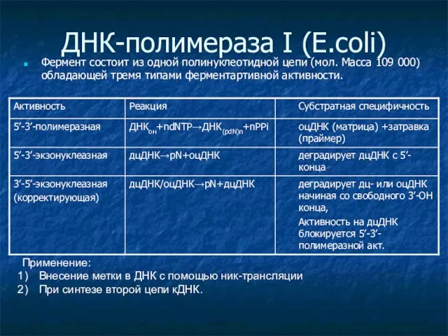 ДНК-полимераза I (E.coli) Фермент состоит из одной полинуклеотидной цепи (мол. Масса 109