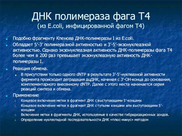 ДНК полимераза фага Т4 (из E.coli, инфицированной фагом Т4) Подобно фрагменту Кленова