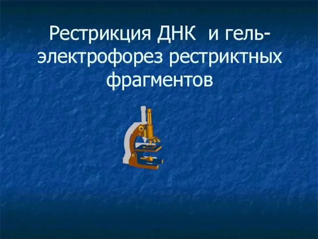 Рестрикция ДНК и гель-электрофорез рестриктных фрагментов