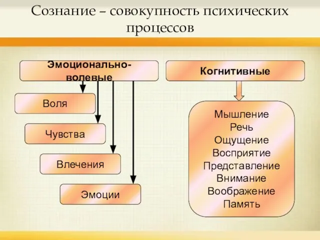 Сознание – совокупность психических процессов Эмоционально-волевые Когнитивные Мышление Речь Ощущение Восприятие Представление