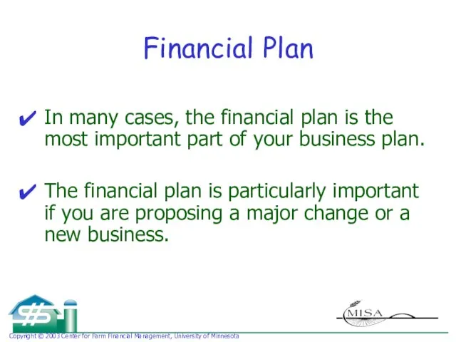 Financial Plan In many cases, the financial plan is the most important