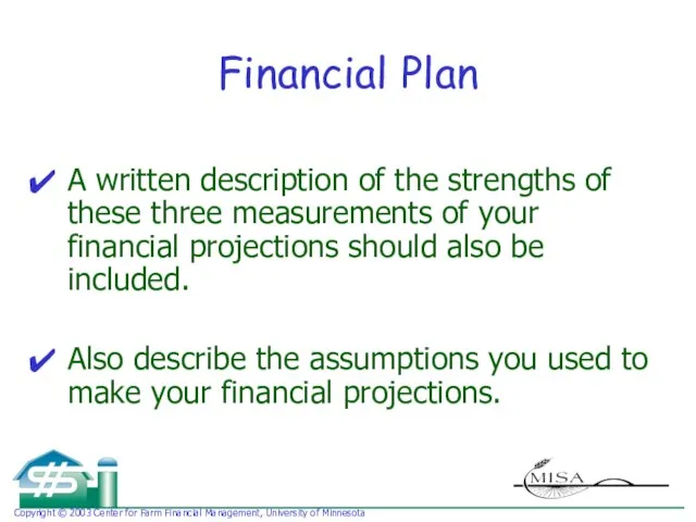 Financial Plan A written description of the strengths of these three measurements