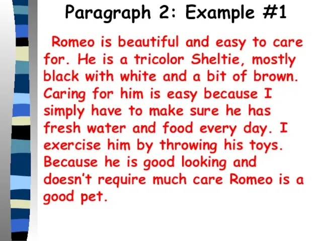 Paragraph 2: Example #1 Romeo is beautiful and easy to care for.
