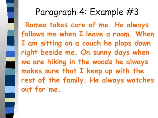 Paragraph 4: Example #3 Romeo takes care of me. He always follows