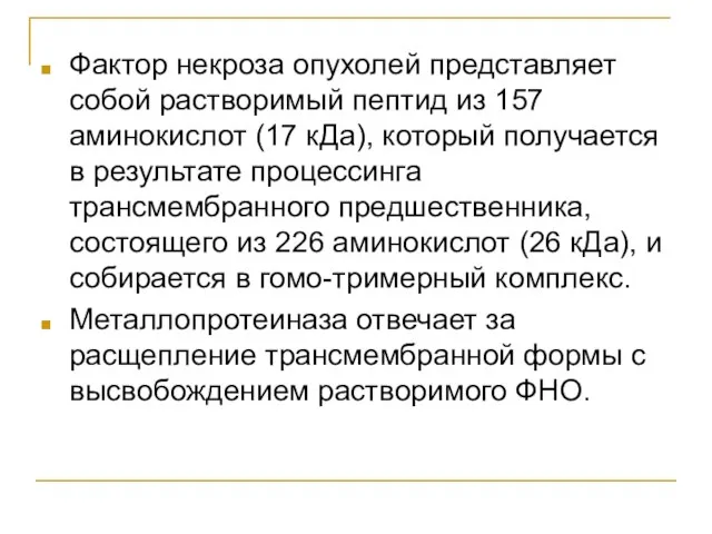 Фактор некроза опухолей представляет собой растворимый пептид из 157 аминокислот (17 кДа),