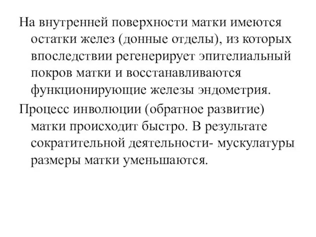 На внутренней поверхности матки имеются остатки желез (донные отделы), из которых впоследствии