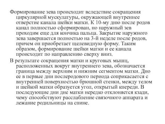 Формирование зева происходит вследствие сокращения циркулярной мускулатуры, окружающей внутреннее отверстие канала шейки