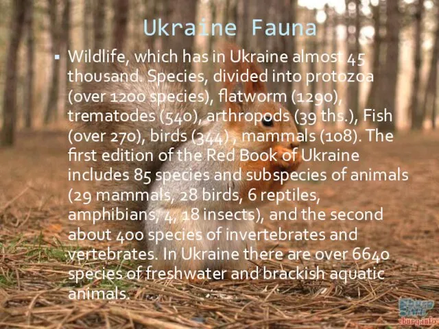 Ukraine Fauna Wildlife, which has in Ukraine almost 45 thousand. Species, divided