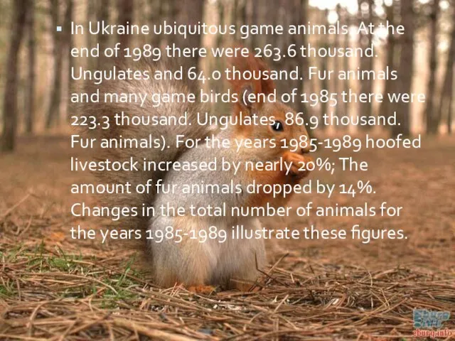 In Ukraine ubiquitous game animals. At the end of 1989 there were