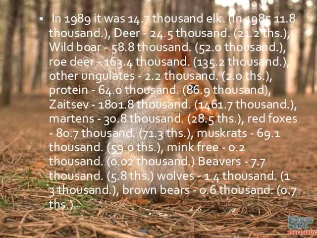 In 1989 it was 14.7 thousand elk. (In 1985 11.8 thousand.), Deer