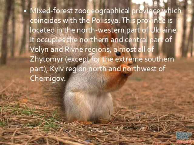 Mixed-forest zoogeographical province which coincides with the Polissya. This province is located