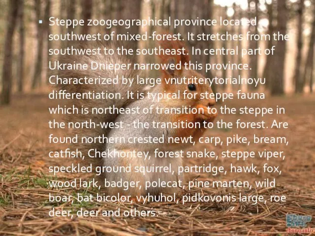 Steppe zoogeographical province located southwest of mixed-forest. It stretches from the southwest