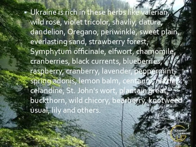 Ukraine is rich in these herbs like valerian, wild rose, violet tricolor,