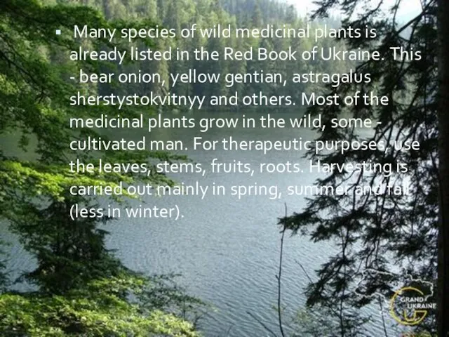 Many species of wild medicinal plants is already listed in the Red