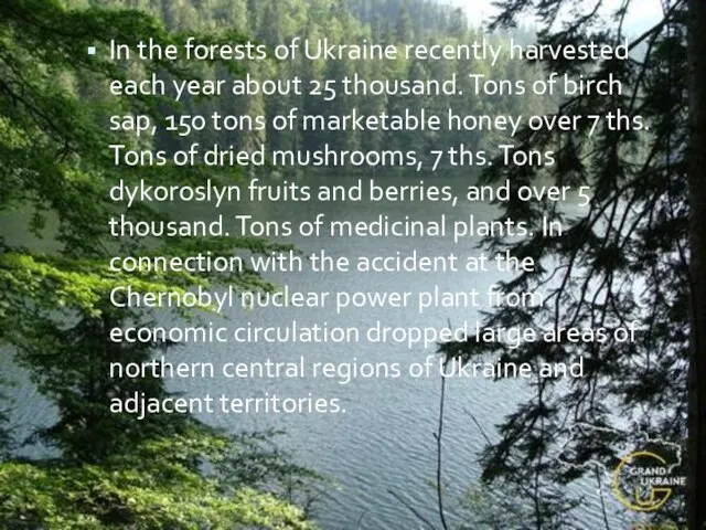 In the forests of Ukraine recently harvested each year about 25 thousand.