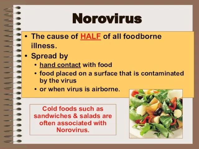 Norovirus The cause of HALF of all foodborne illness. Spread by hand