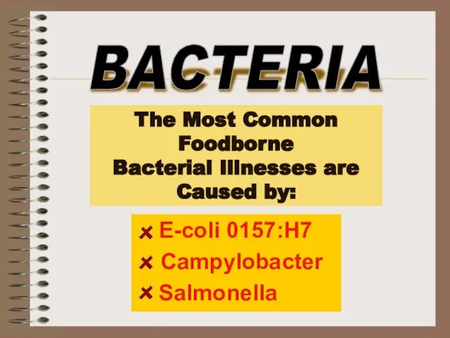 The Most Common Foodborne Bacterial Illnesses are Caused by: E-coli 0157:H7 Campylobacter Salmonella BACTERIA