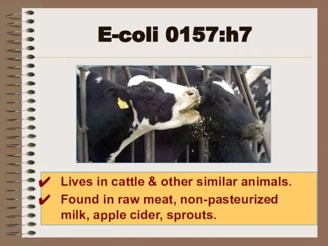 E-coli 0157:h7 Lives in cattle & other similar animals. Found in raw