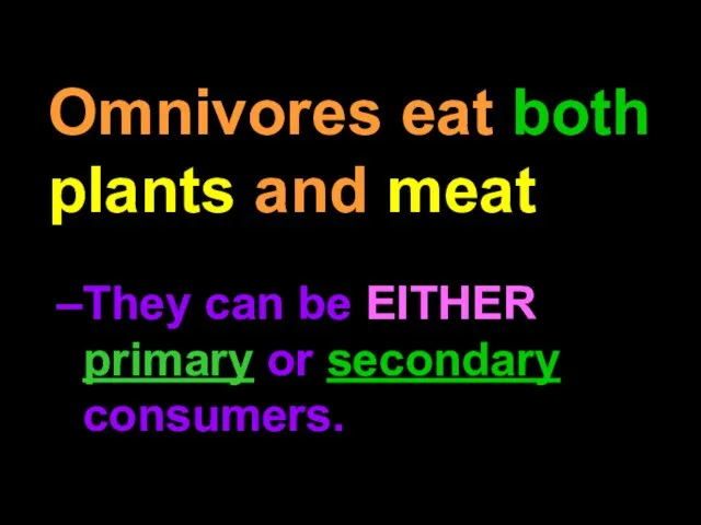 Omnivores eat both plants and meat They can be EITHER primary or secondary consumers.