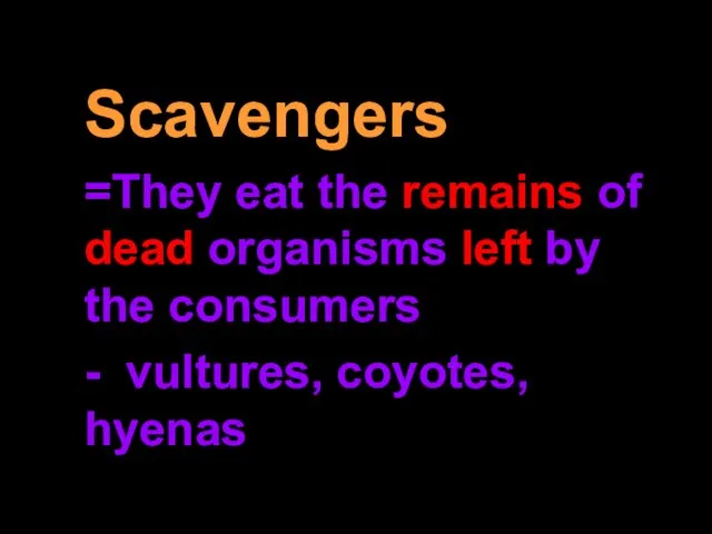 Scavengers =They eat the remains of dead organisms left by the consumers - vultures, coyotes, hyenas