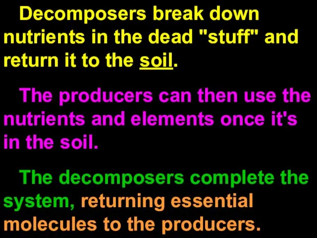 Decomposers break down nutrients in the dead "stuff" and return it to