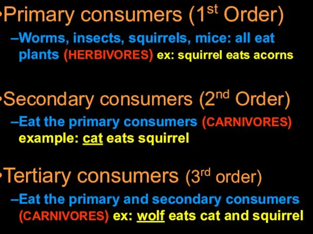 Tertiary consumers (3rd order) Eat the primary and secondary consumers (CARNIVORES) ex:
