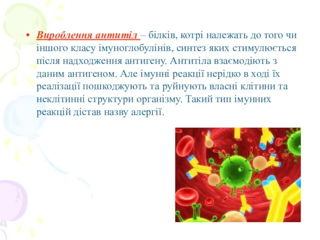 Вироблення антитіл – білків, котрі належать до того чи іншого класу імуноглобулінів,