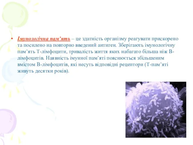 Імунологічна пам’ять – це здатність організму реагувати прискорено та посилено на повторно