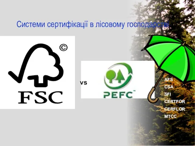 Системи сертифікації в лісовому господарстві vs AFS CSA SFI CERTFOR CERFLOR MTCC