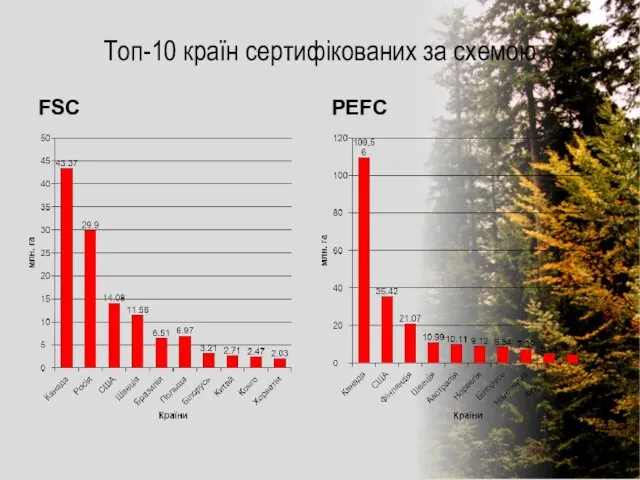 Топ-10 країн сертифікованих за схемою FSC PEFC