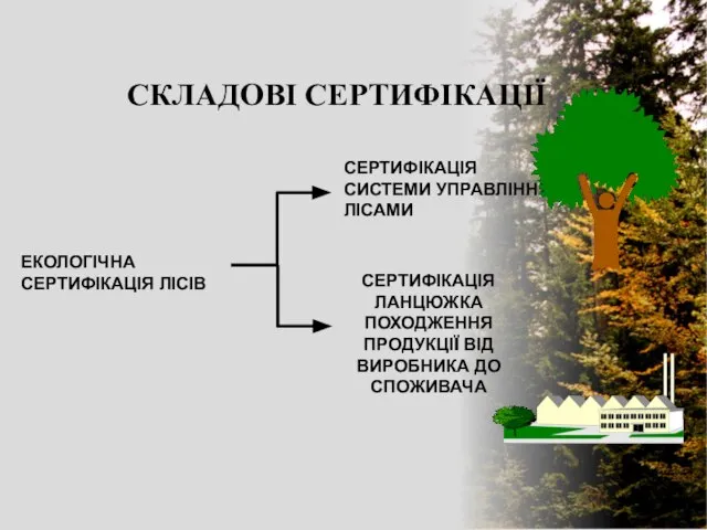 СКЛАДОВІ СЕРТИФІКАЦІЇ СЕРТИФІКАЦІЯ СИСТЕМИ УПРАВЛІННЯ ЛІСАМИ СЕРТИФІКАЦІЯ ЛАНЦЮЖКА ПОХОДЖЕННЯ ПРОДУКЦІЇ ВІД ВИРОБНИКА