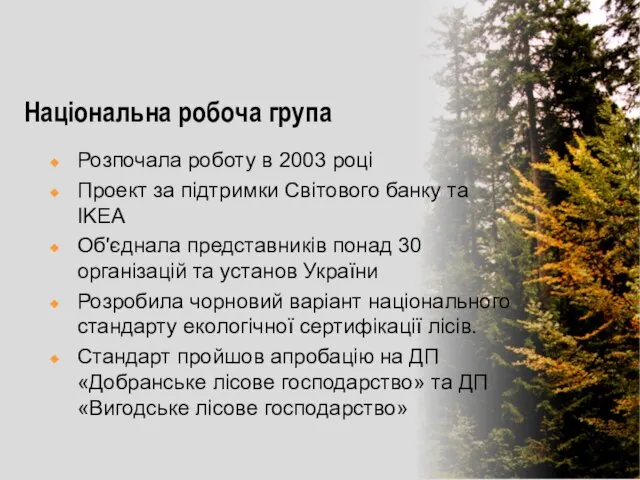 Національна робоча група Розпочала роботу в 2003 році Проект за підтримки Світового