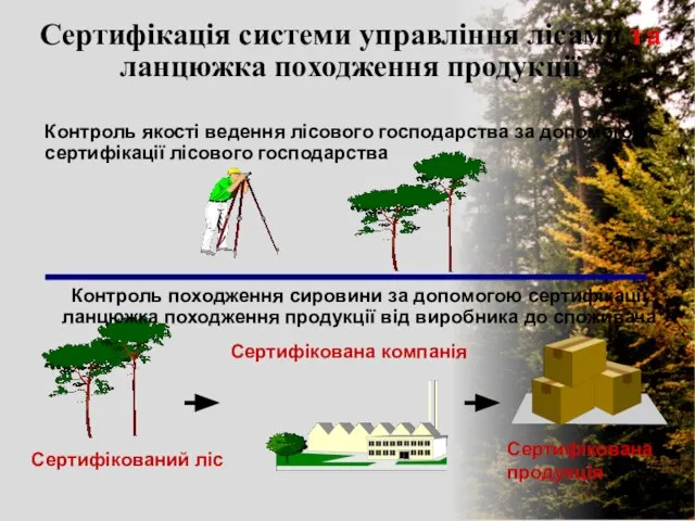 Сертифікація системи управління лісами та ланцюжка походження продукції Контроль походження сировини за