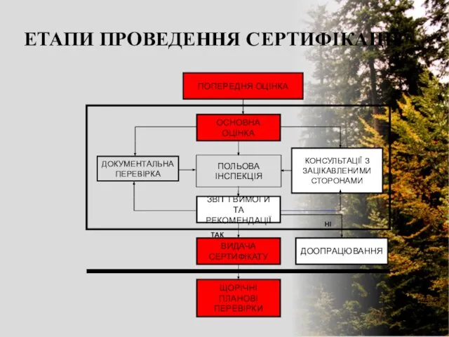 ЕТАПИ ПРОВЕДЕННЯ СЕРТИФІКАЦІЇ ДОКУМЕНТАЛЬНА ПЕРЕВІРКА ПОЛЬОВА ІНСПЕКЦІЯ ТАК НІ