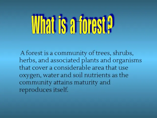 A forest is a community of trees, shrubs, herbs, and associated plants