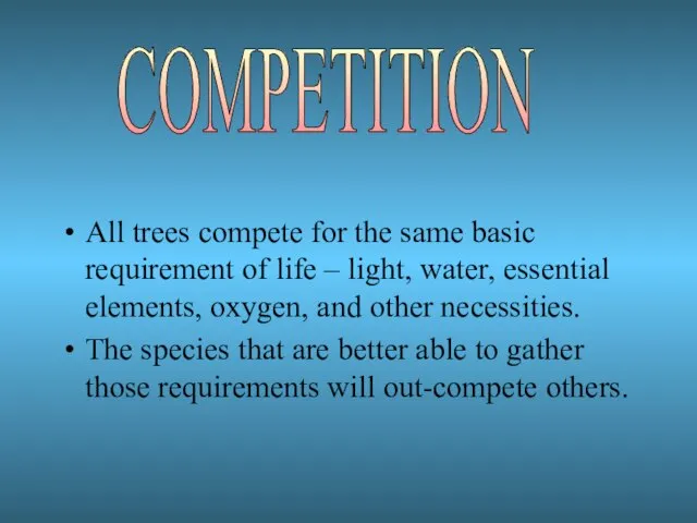 All trees compete for the same basic requirement of life – light,