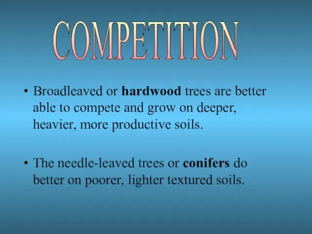 Broadleaved or hardwood trees are better able to compete and grow on