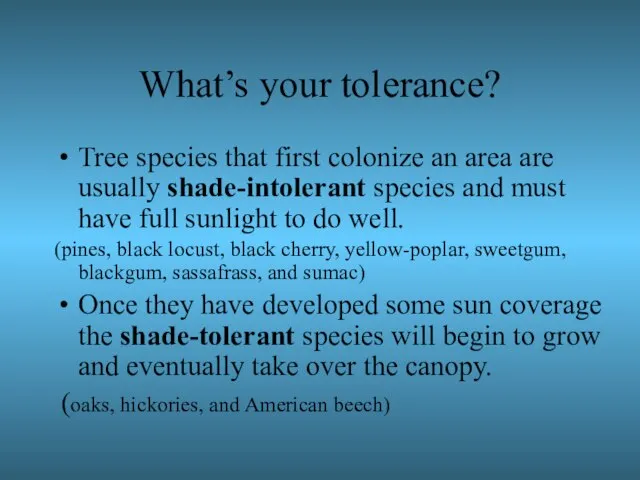 What’s your tolerance? Tree species that first colonize an area are usually