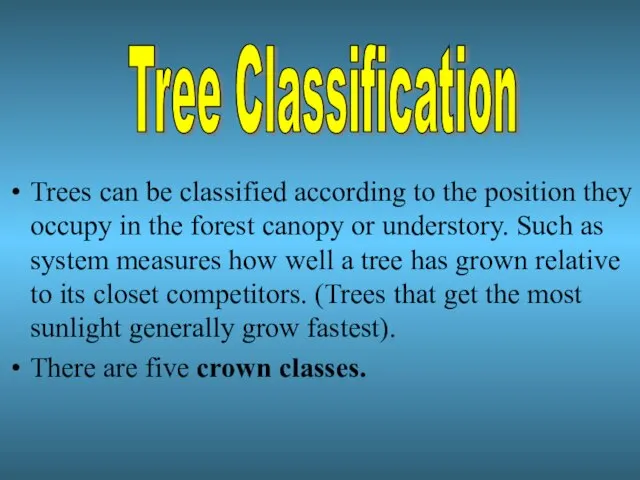 Trees can be classified according to the position they occupy in the