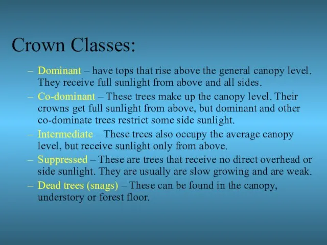 Crown Classes: Dominant – have tops that rise above the general canopy