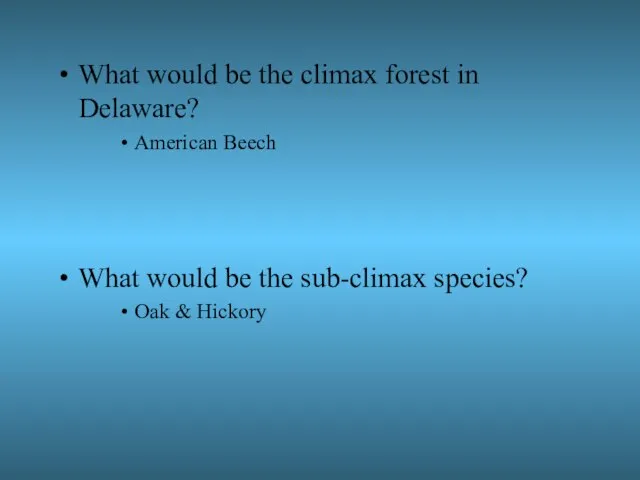 What would be the climax forest in Delaware? American Beech What would