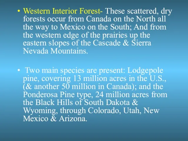 Western Interior Forest- These scattered, dry forests occur from Canada on the