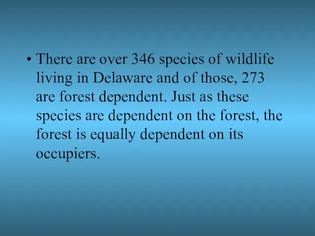 There are over 346 species of wildlife living in Delaware and of