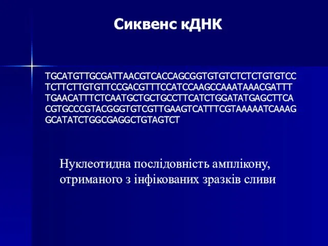 TGCATGTTGCGATTAACGTCACCAGCGGTGTGTCTCTCTGTGTCCTCTTCTTGTGTTCCGACGTTTCCATCCAAGCCAAATAAACGATTTTGAACATTTCTCAATGCTGCTGCCTTCATCTGGATATGAGCTTCACGTGCCCGTACGGGTGTCGTTGAAGTCATTTCGTAAAAATCAAAGGCATATCTGGCGAGGCTGTAGTCT Нуклеотидна послідовність амплікону, отриманого з інфікованих зразків сливи Сиквенс кДНК