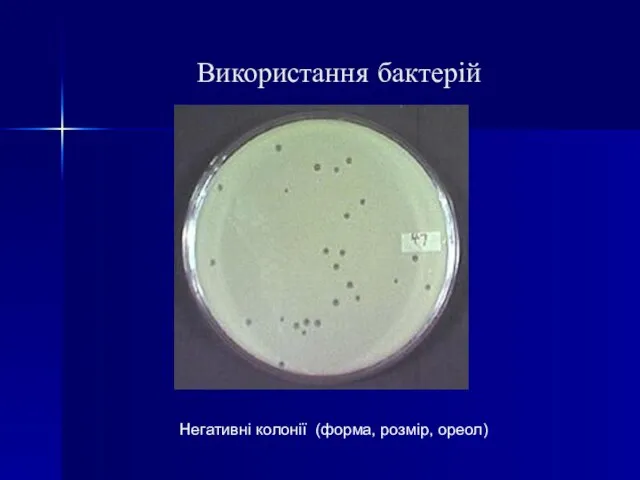 Використання бактерій Негативні колонії (форма, розмір, ореол)