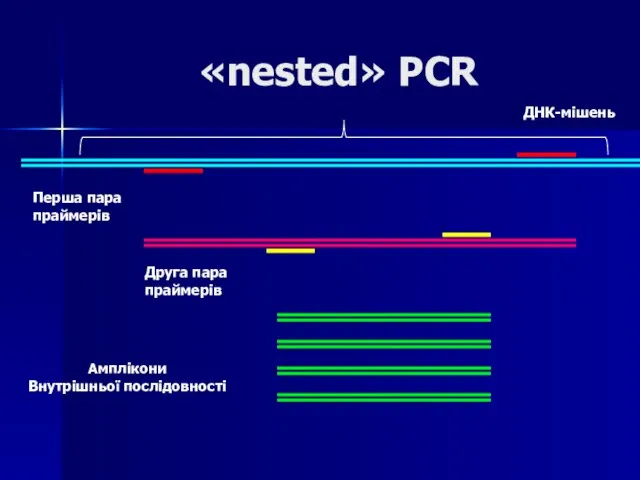 «nested» PCR ДНК-мішень Перша пара праймерів Друга пара праймерів Амплікони Внутрішньої послідовності