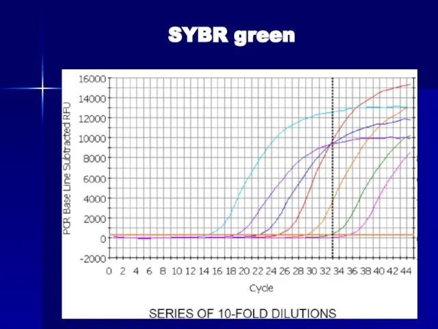 SYBR green