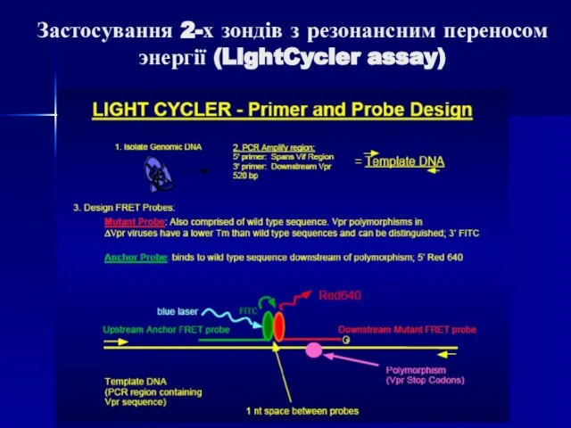 Застосування 2-х зондів з резонансним переносом энергії (LightCycler assay)